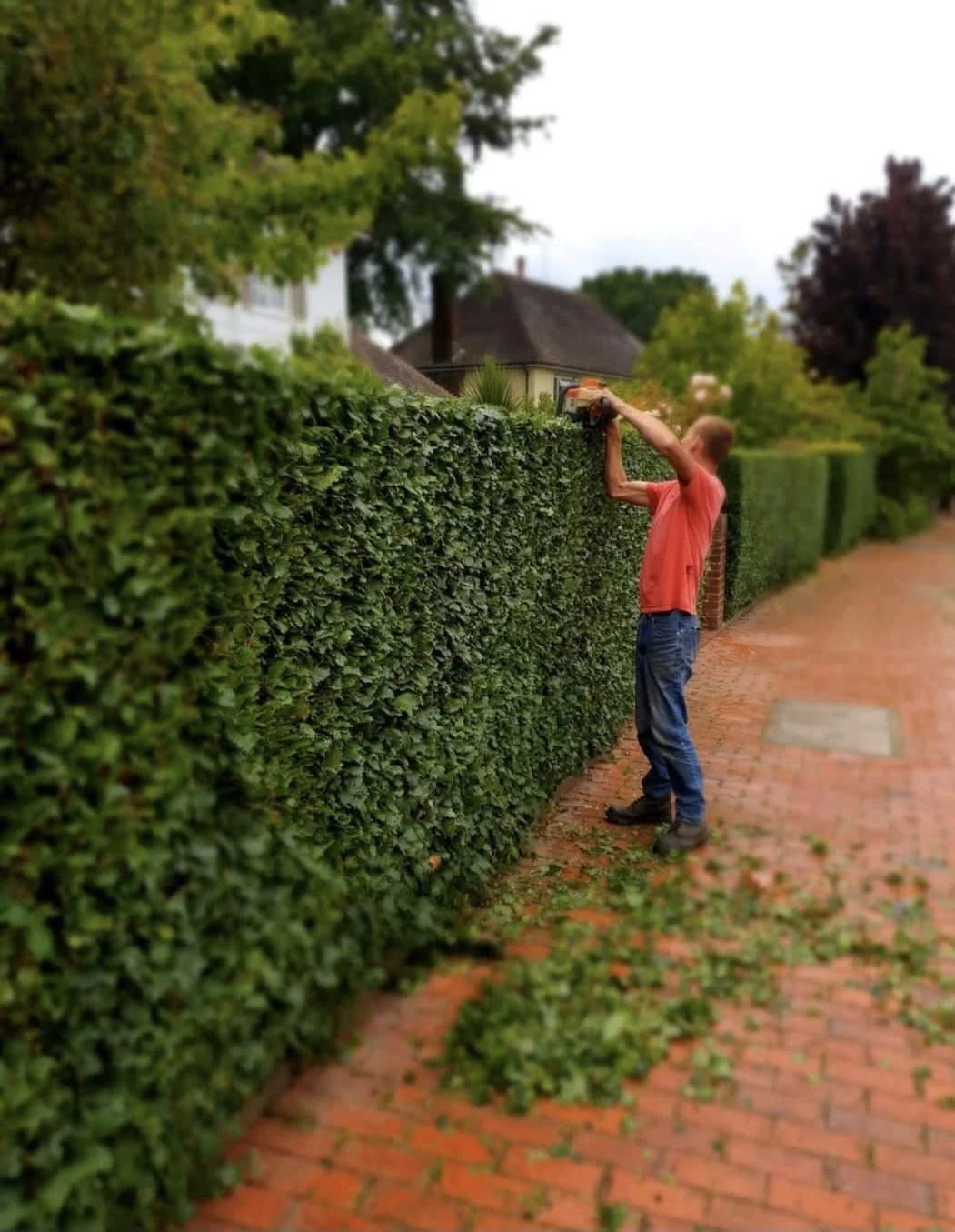 Garden Maintenance Project